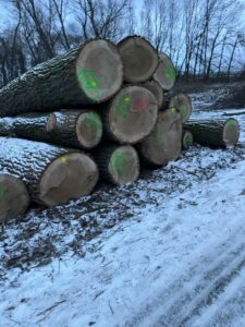 sprzedam doniczkę. Sprzedam doniczkę paskowaną co ma cztery rogiSprzedam doniczkę paskowaną co ma cztery rogiSprzedam doniczkę paskowaną co ma cztery rogi